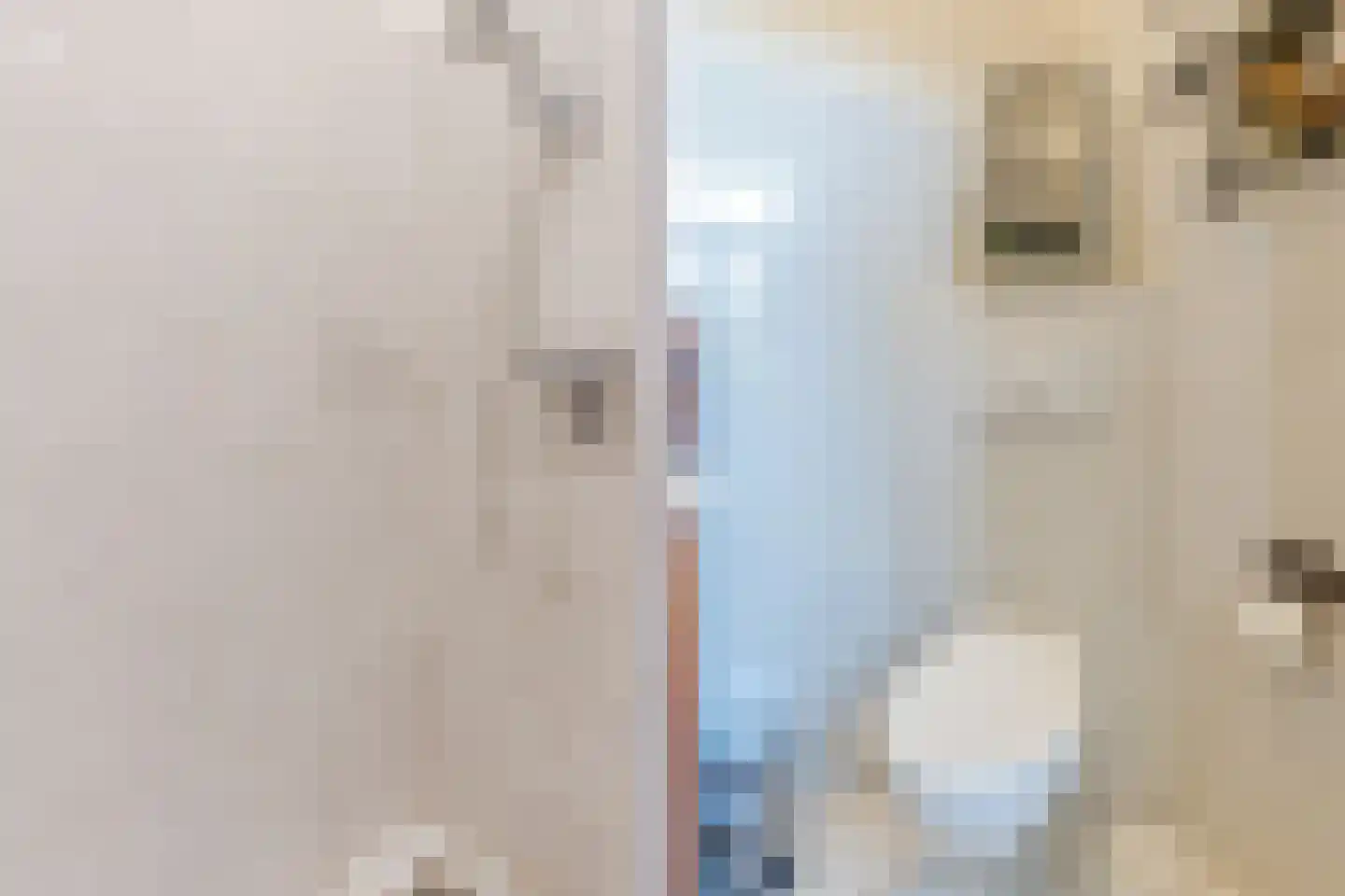 Grietenijdijk 9 Bantega thumbnail 20