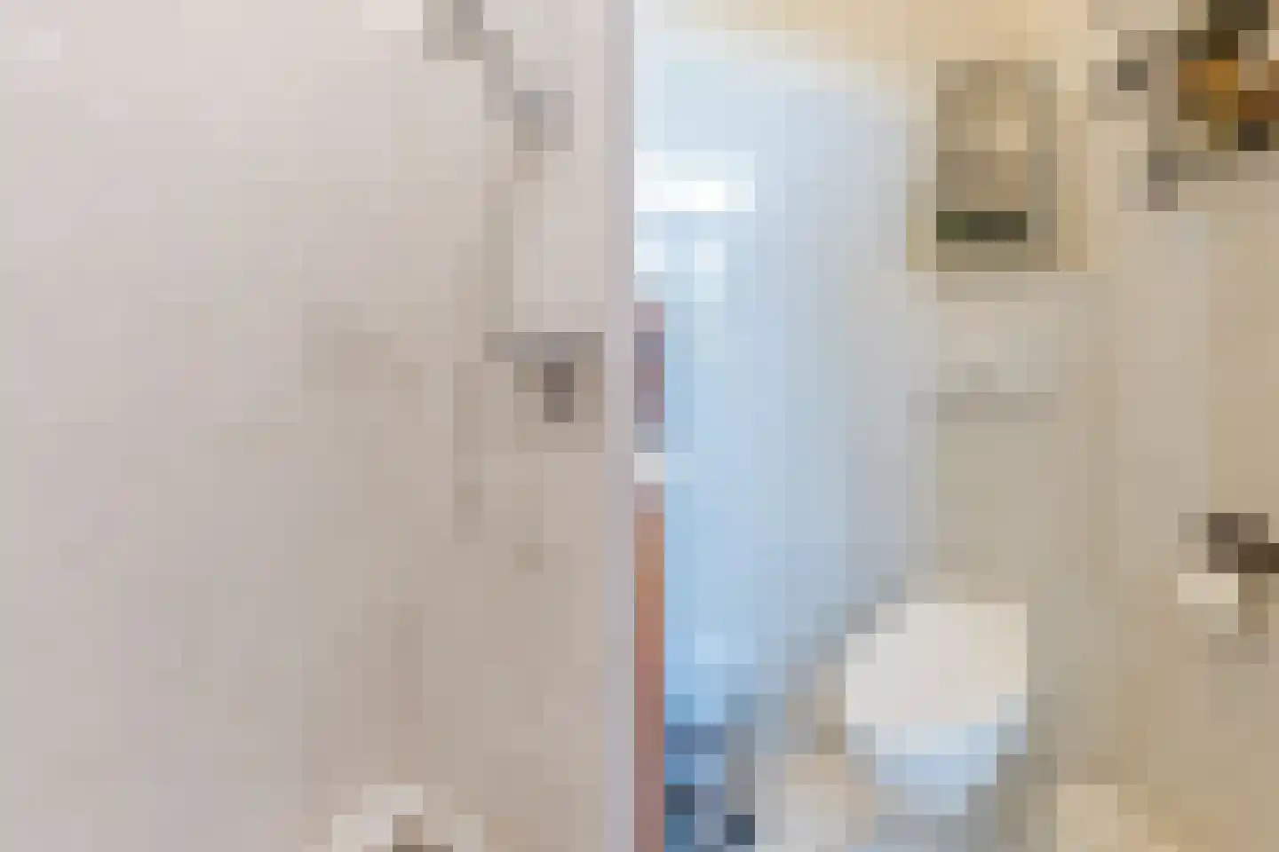 Grietenijdijk 9 Bantega thumbnail 23