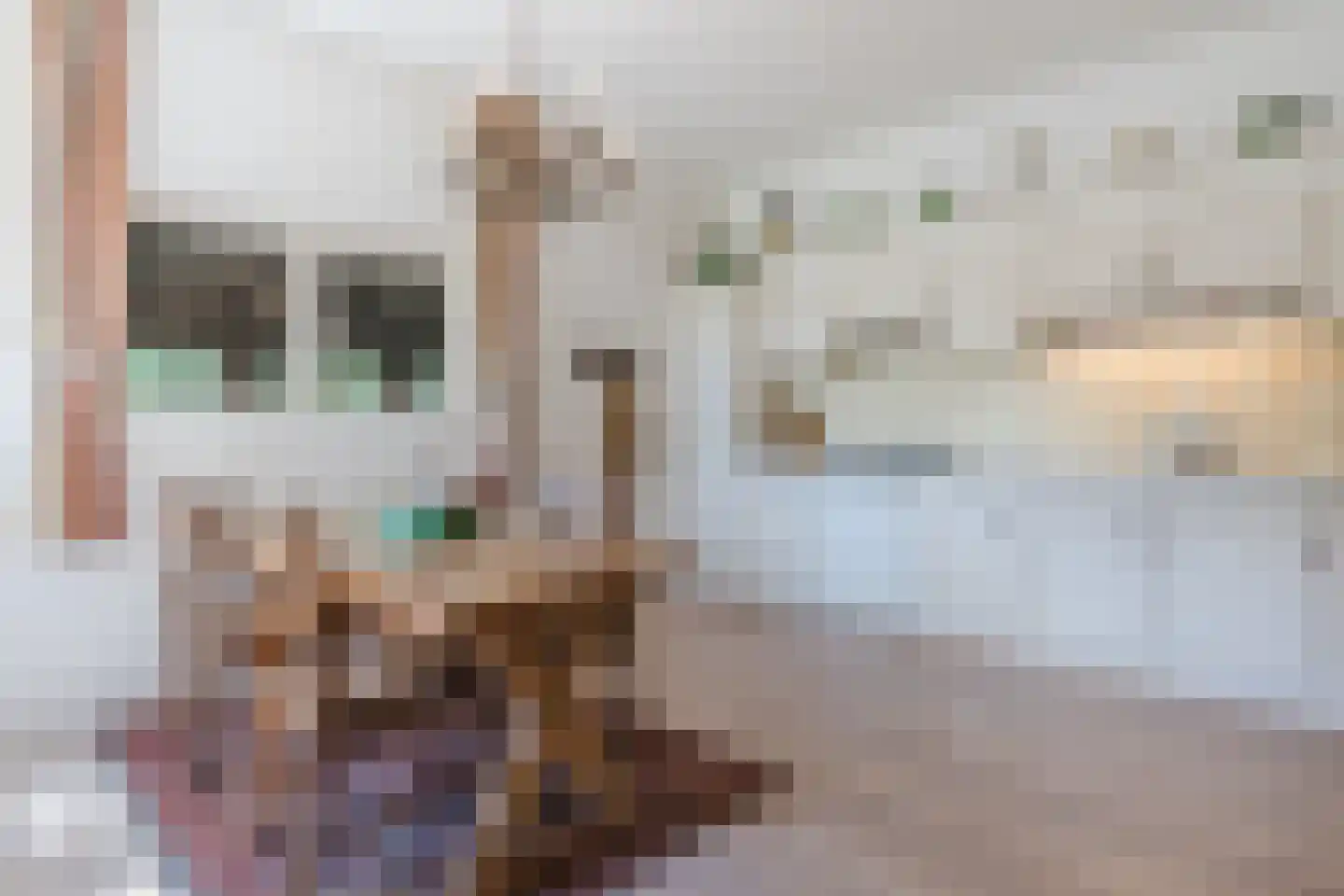 Grietenijdijk 9 Bantega thumbnail 25