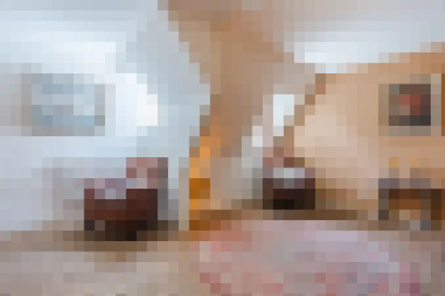 Grietenijdijk 9 Bantega thumbnail 34