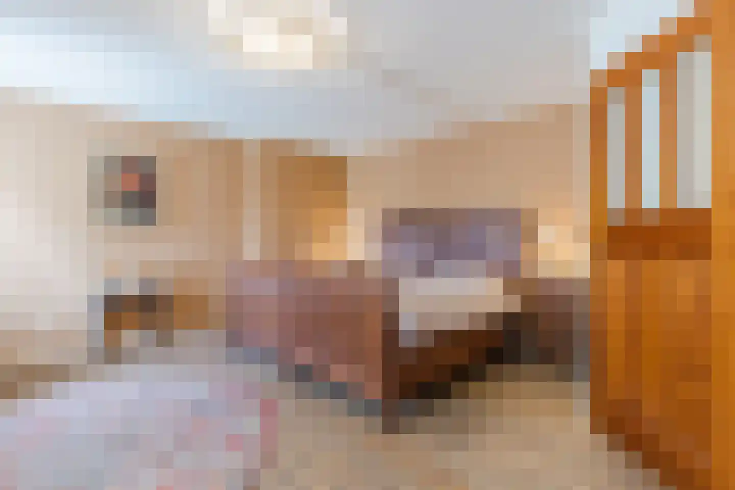 Grietenijdijk 9 Bantega thumbnail 36
