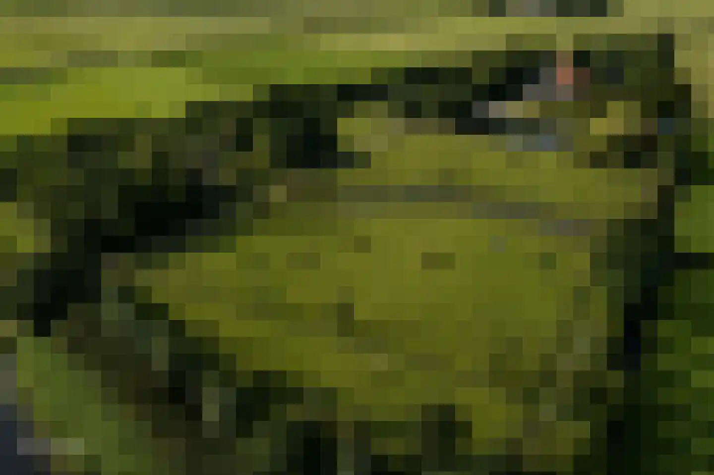 Grietenijdijk 9 Bantega thumbnail 4