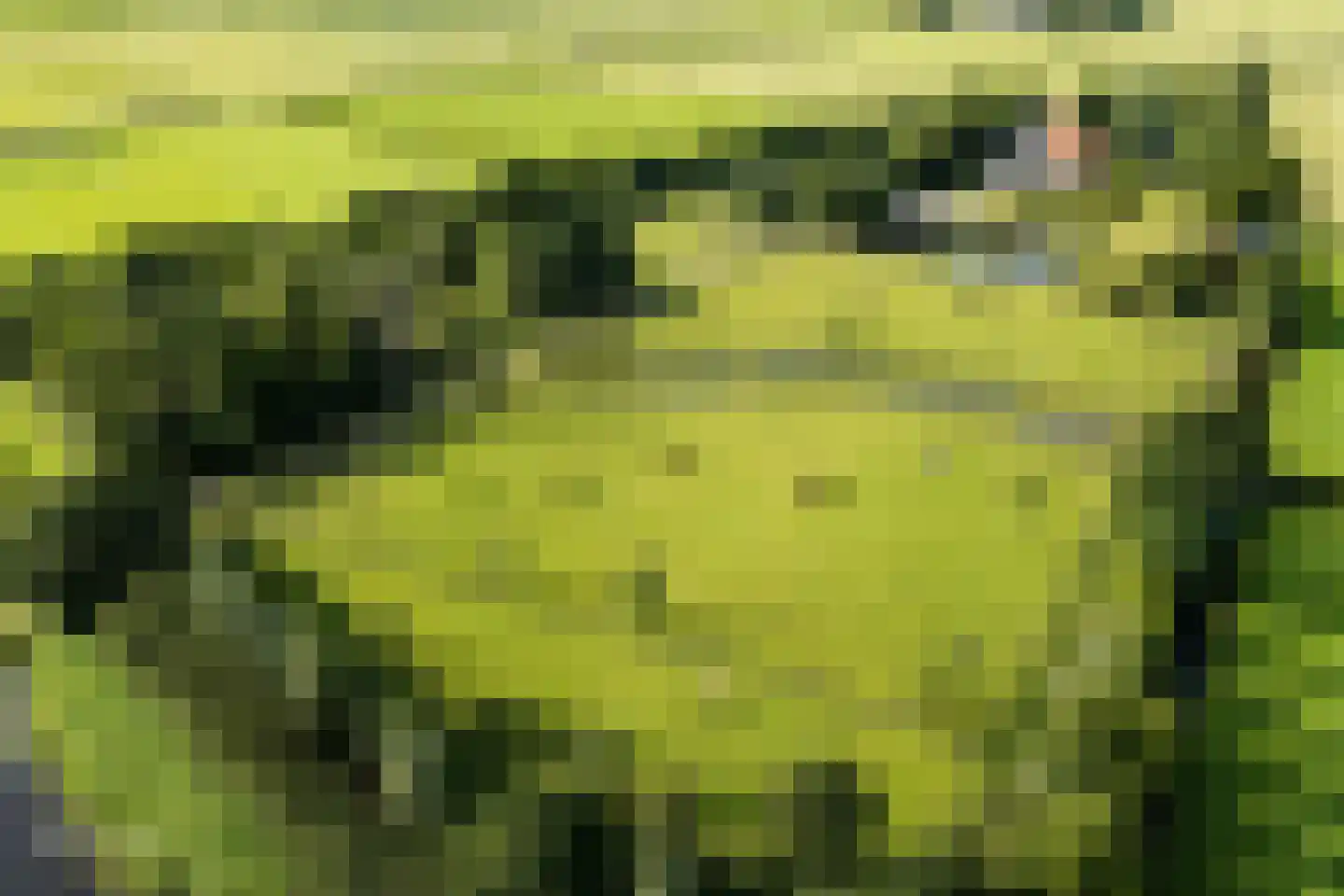 Grietenijdijk 9 Bantega thumbnail 4