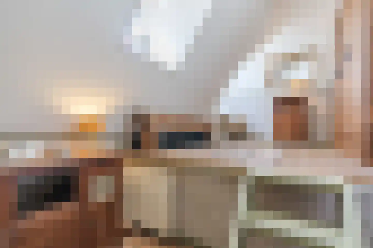 Grietenijdijk 9 Bantega thumbnail 44