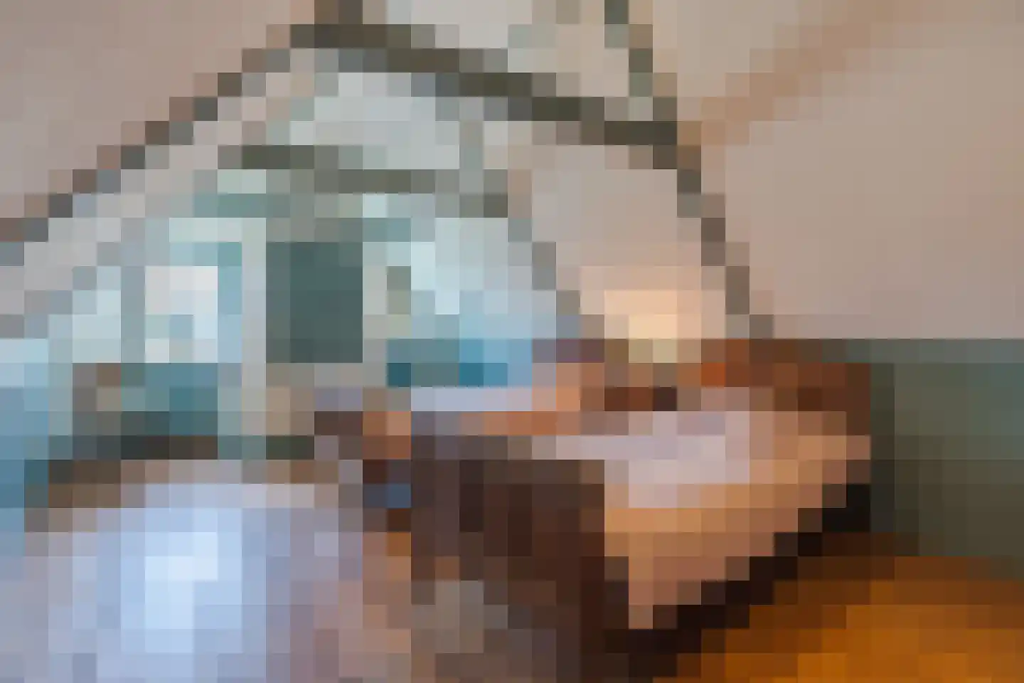 Grietenijdijk 9 Bantega thumbnail 45