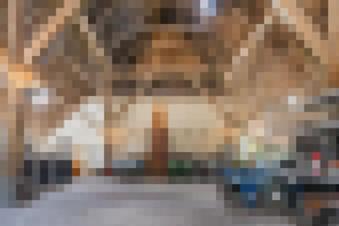 Grietenijdijk 9 Bantega thumbnail 49