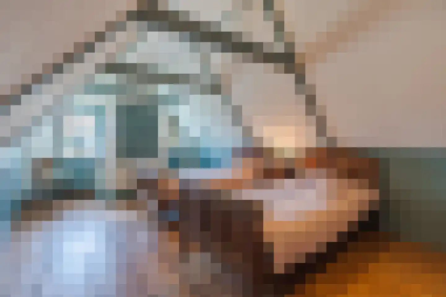 Grietenijdijk 9 Bantega thumbnail 49