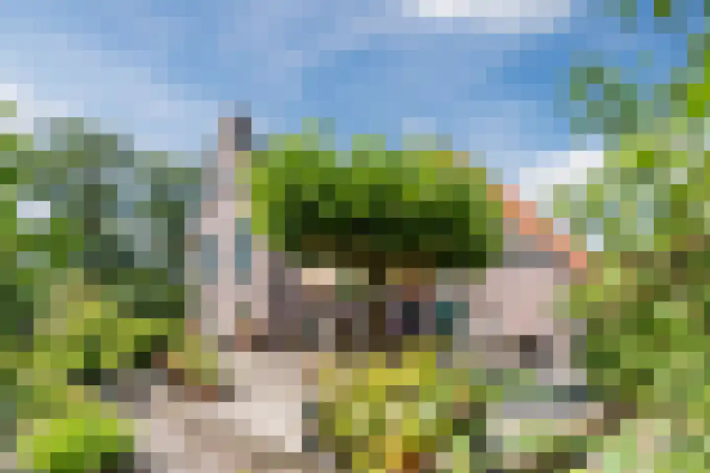 Grietenijdijk 9 Bantega thumbnail 5