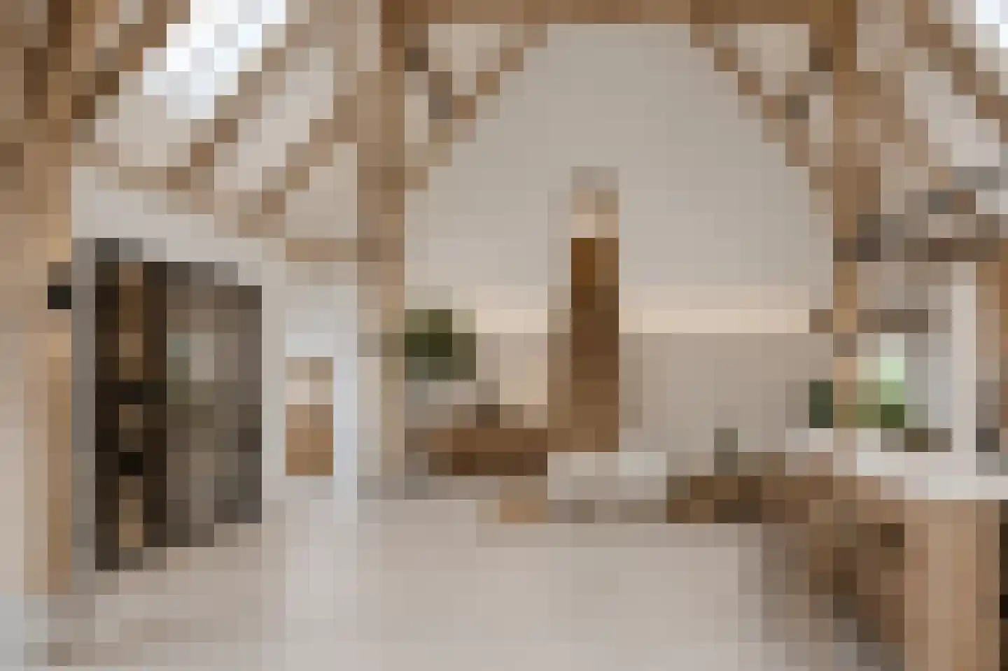 Grietenijdijk 9 Bantega thumbnail 50