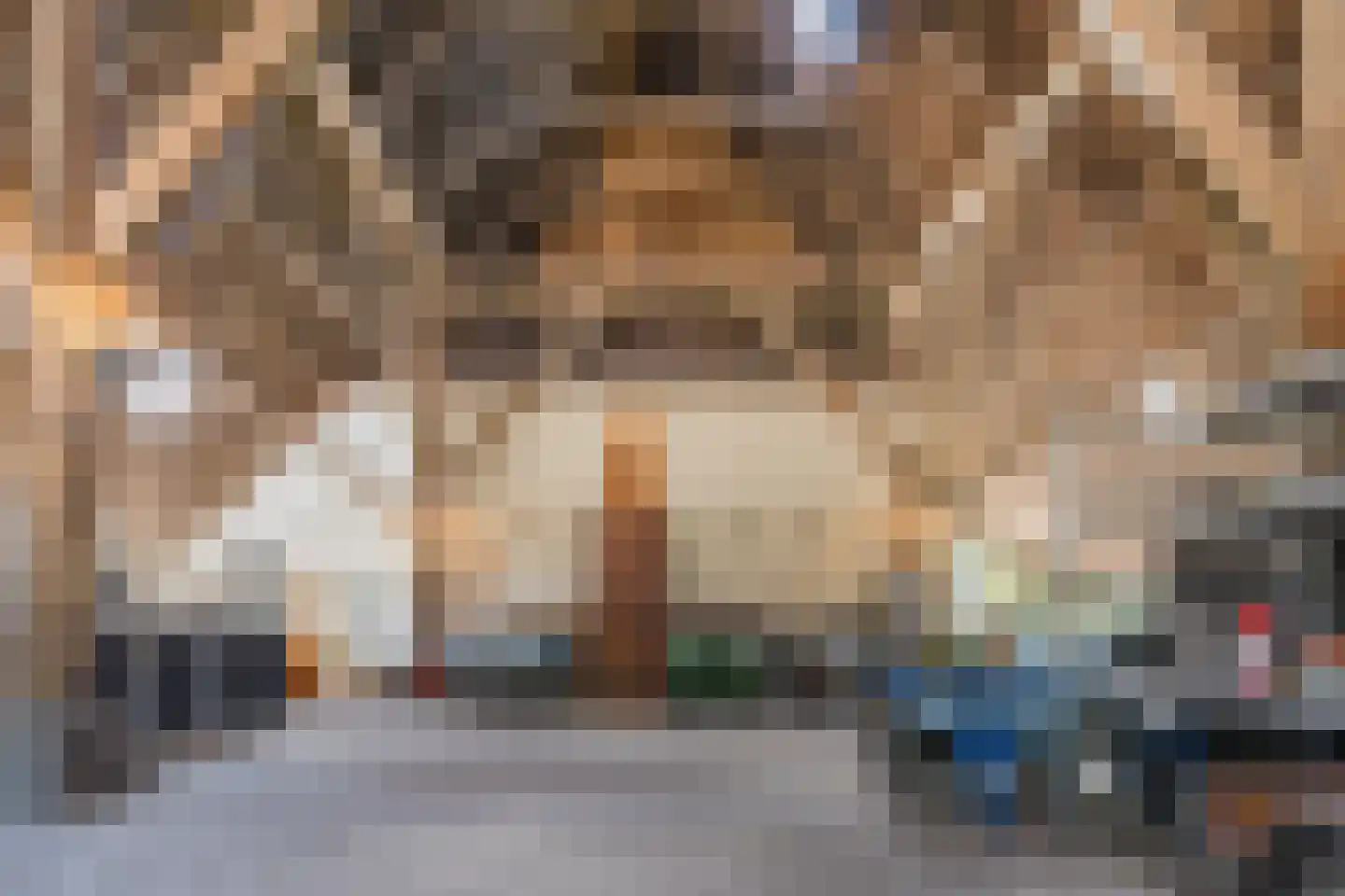 Grietenijdijk 9 Bantega thumbnail 53