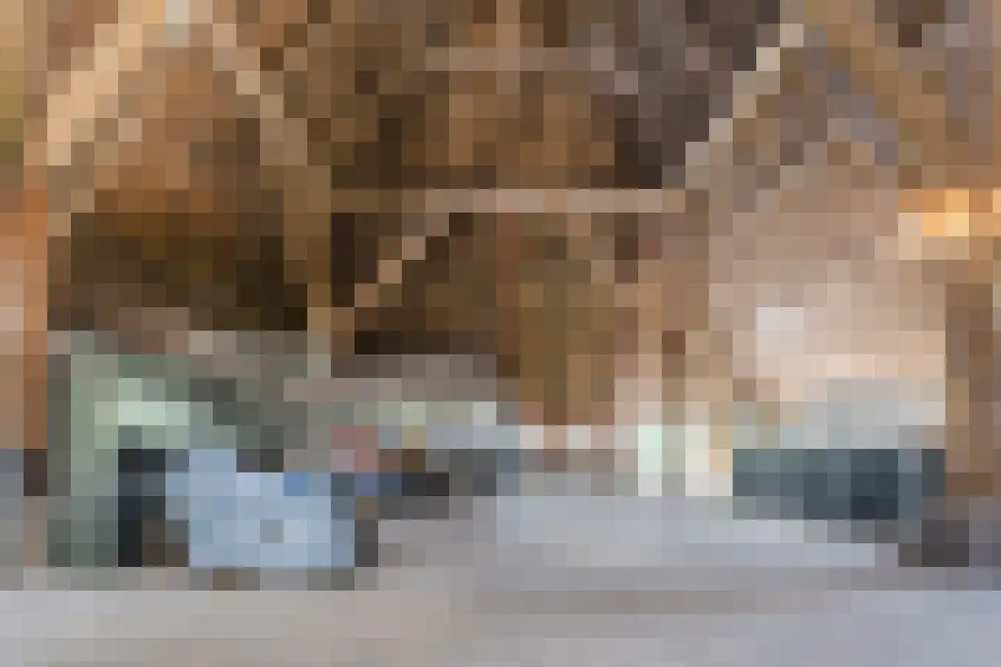 Grietenijdijk 9 Bantega thumbnail 53