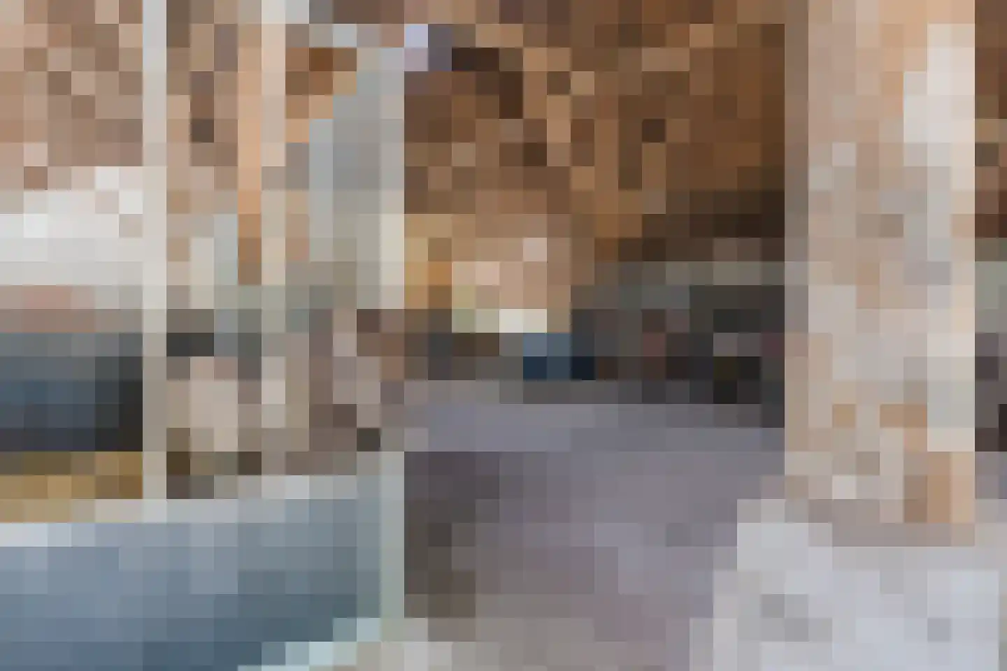 Grietenijdijk 9 Bantega thumbnail 55