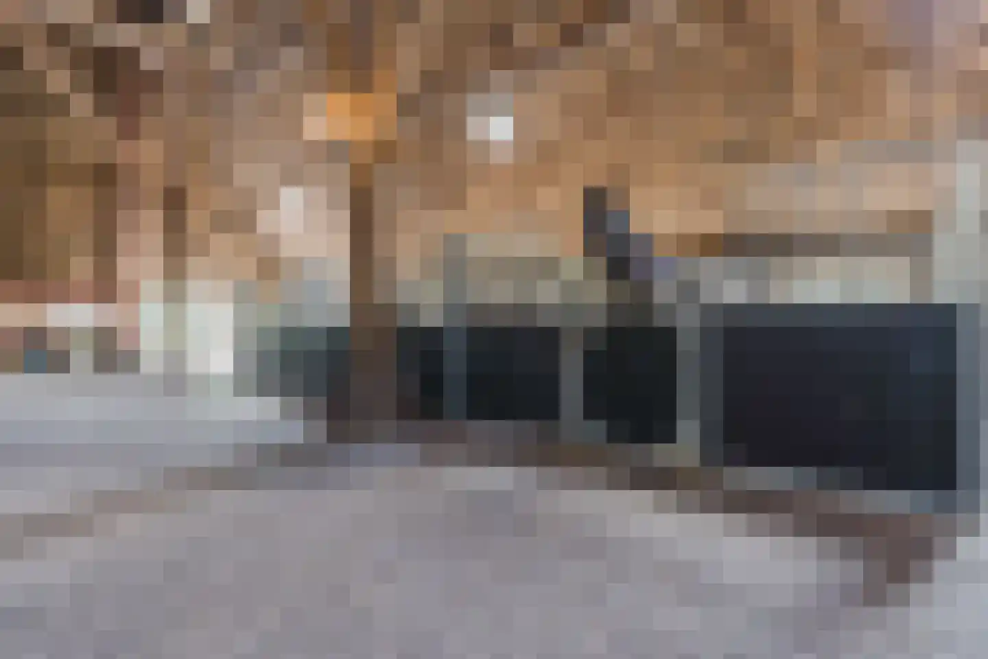 Grietenijdijk 9 Bantega thumbnail 56