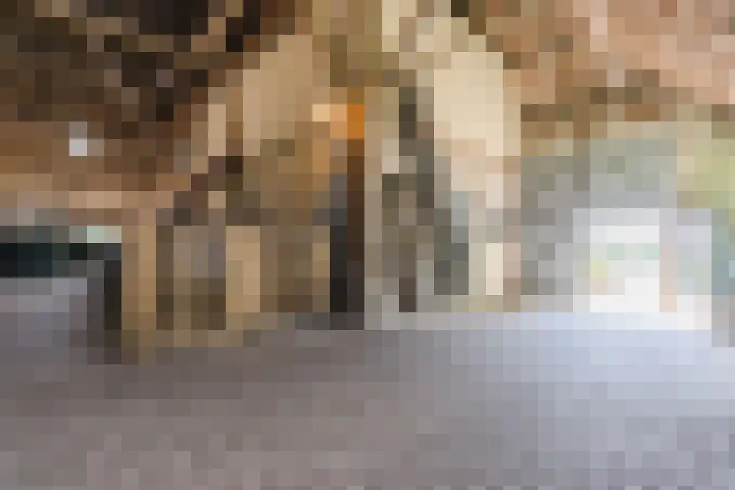 Grietenijdijk 9 Bantega thumbnail 56