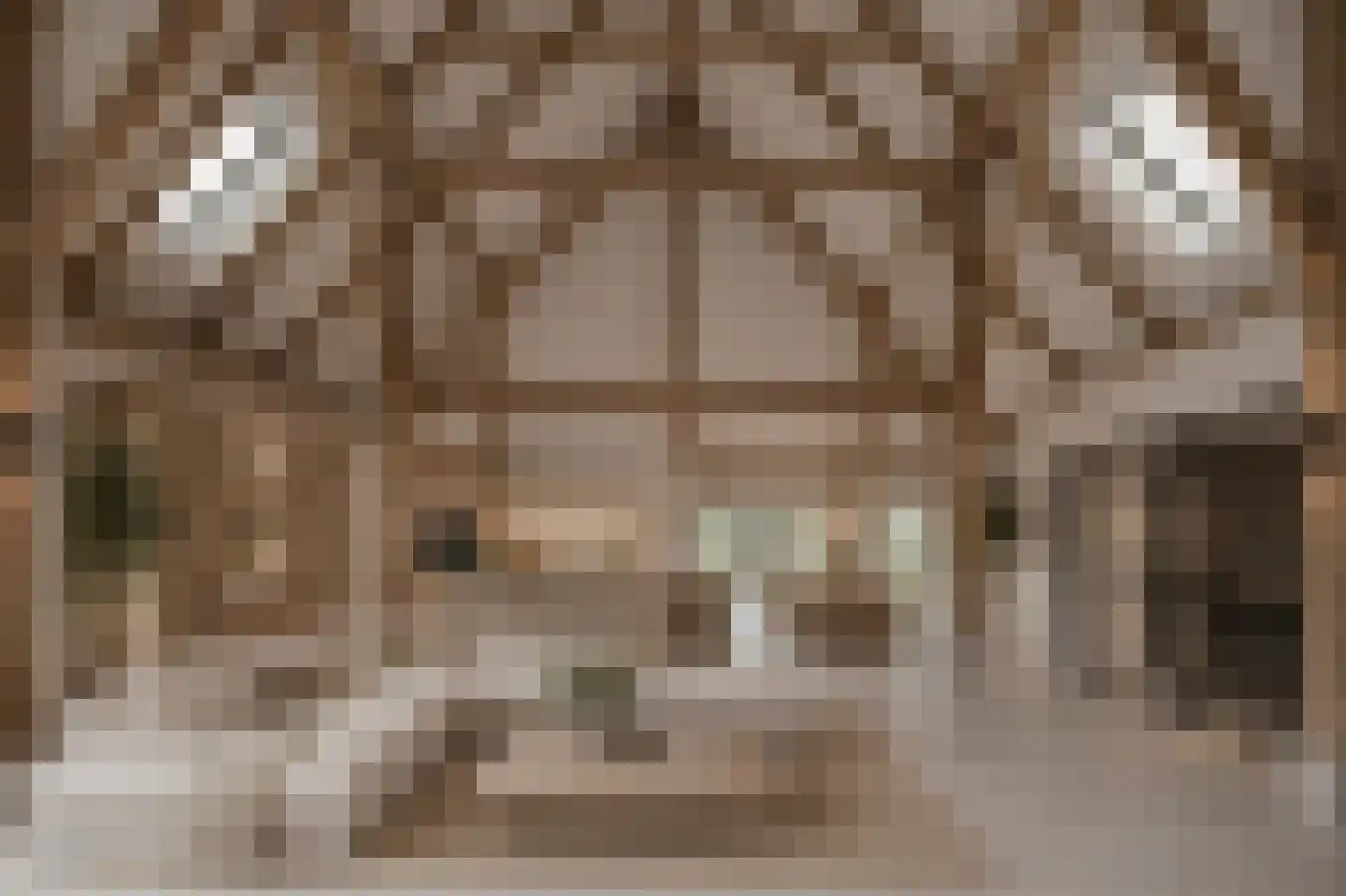 Grietenijdijk 9 Bantega thumbnail 58