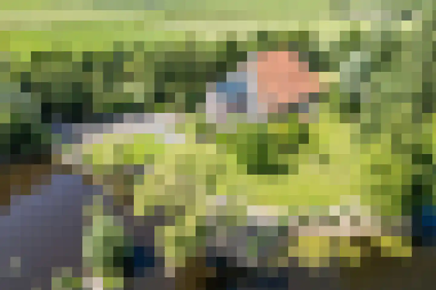 Grietenijdijk 9 Bantega thumbnail 6