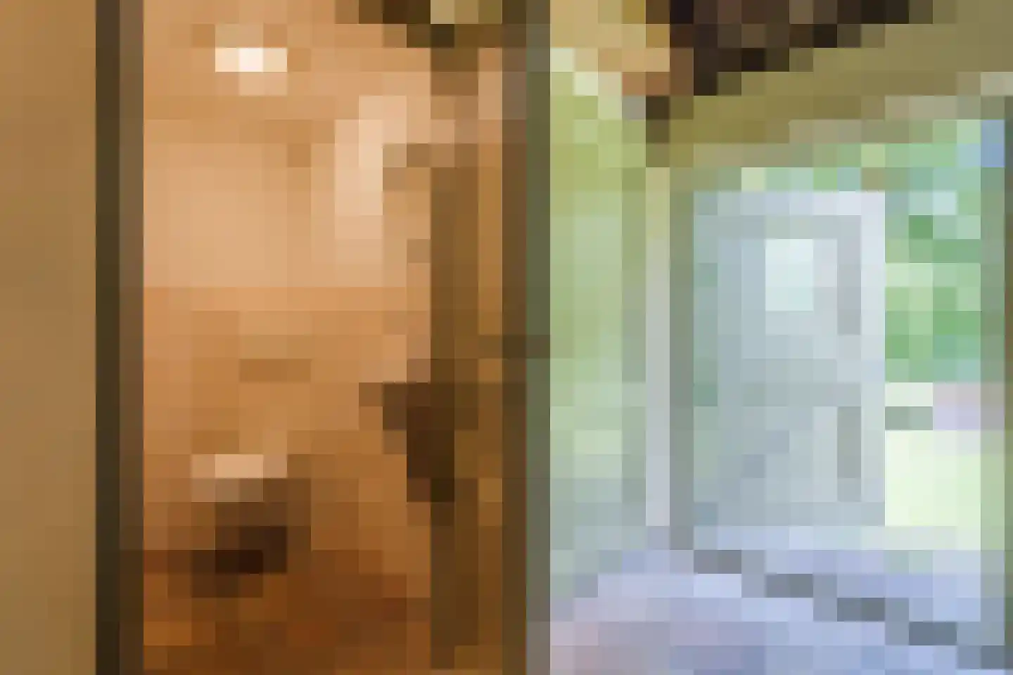 Grietenijdijk 9 Bantega thumbnail 61