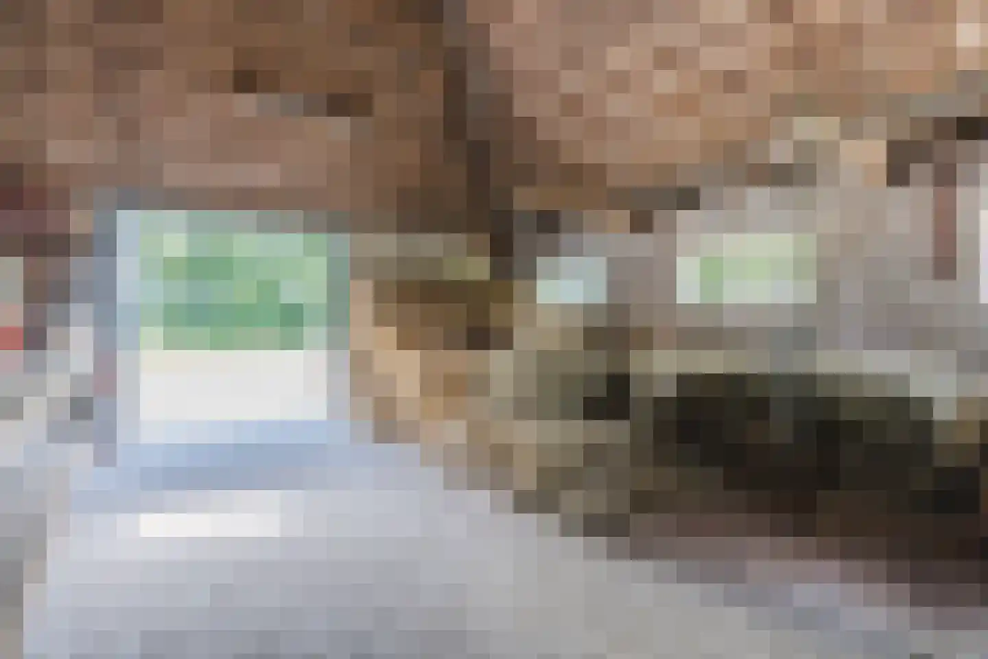 Grietenijdijk 9 Bantega thumbnail 61