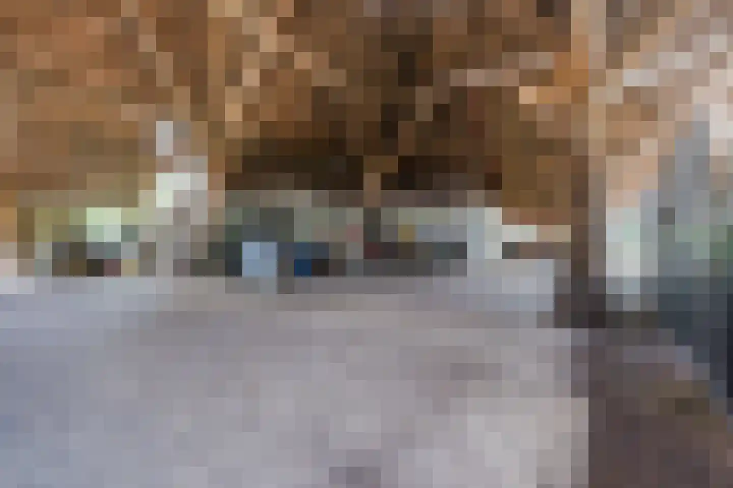 Grietenijdijk 9 Bantega thumbnail 62