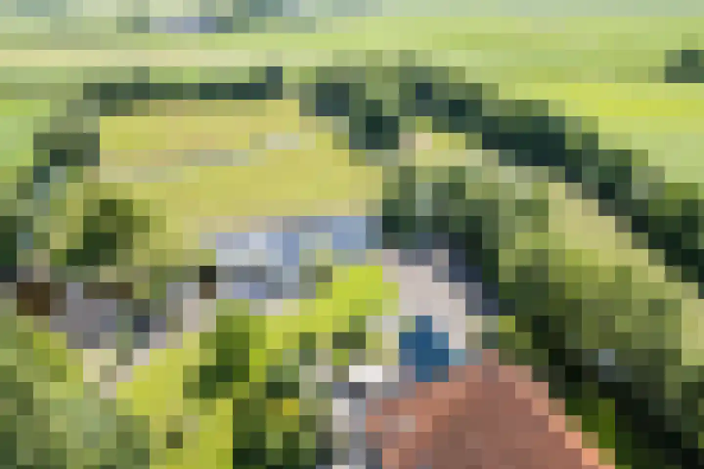 Grietenijdijk 9 Bantega thumbnail 7