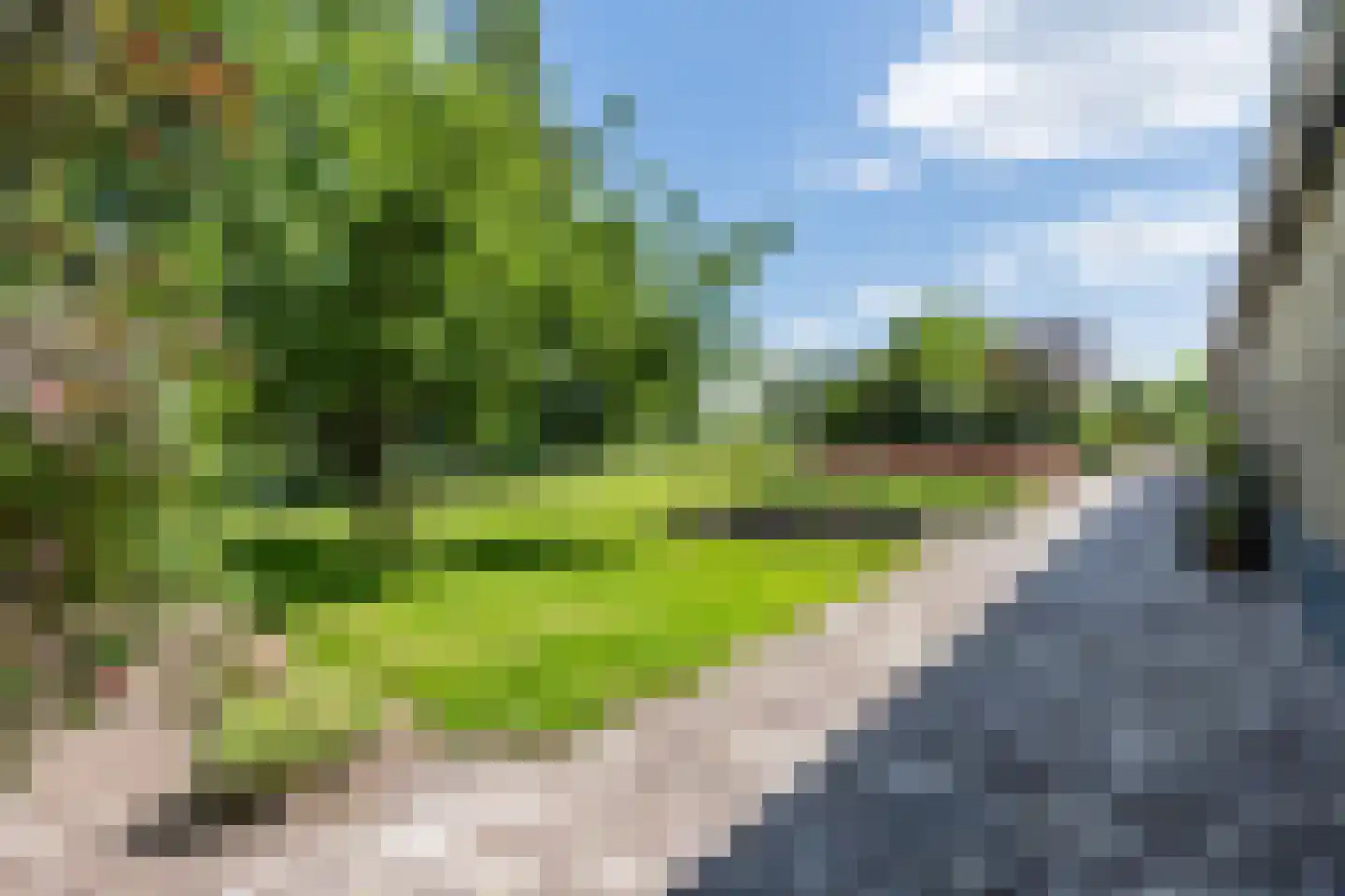 Grietenijdijk 9 Bantega thumbnail 74