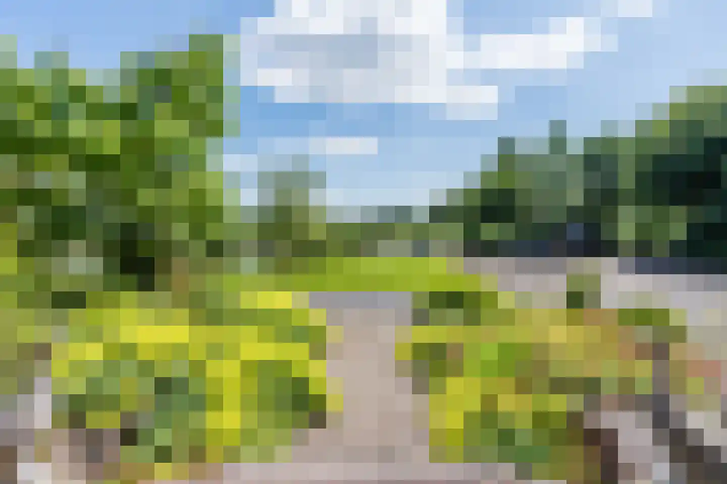 Grietenijdijk 9 Bantega thumbnail 77