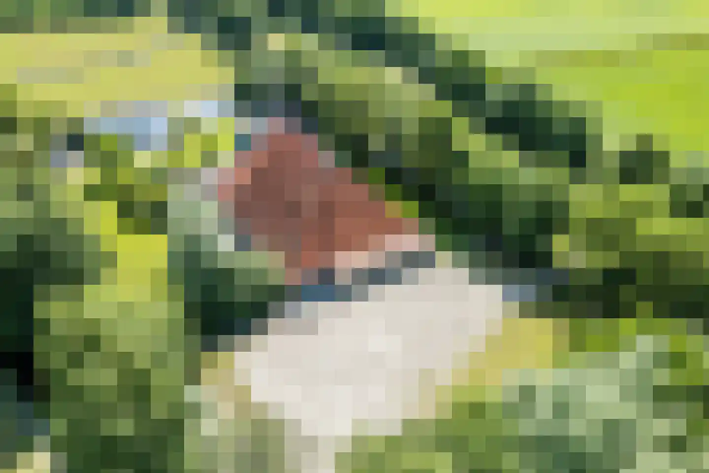 Grietenijdijk 9 Bantega thumbnail 78
