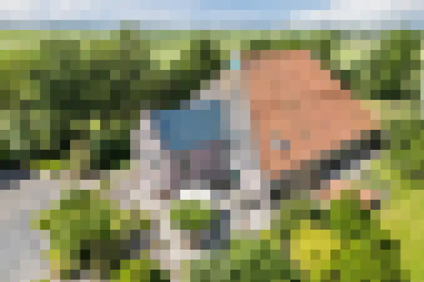 Grietenijdijk 9 Bantega thumbnail 8