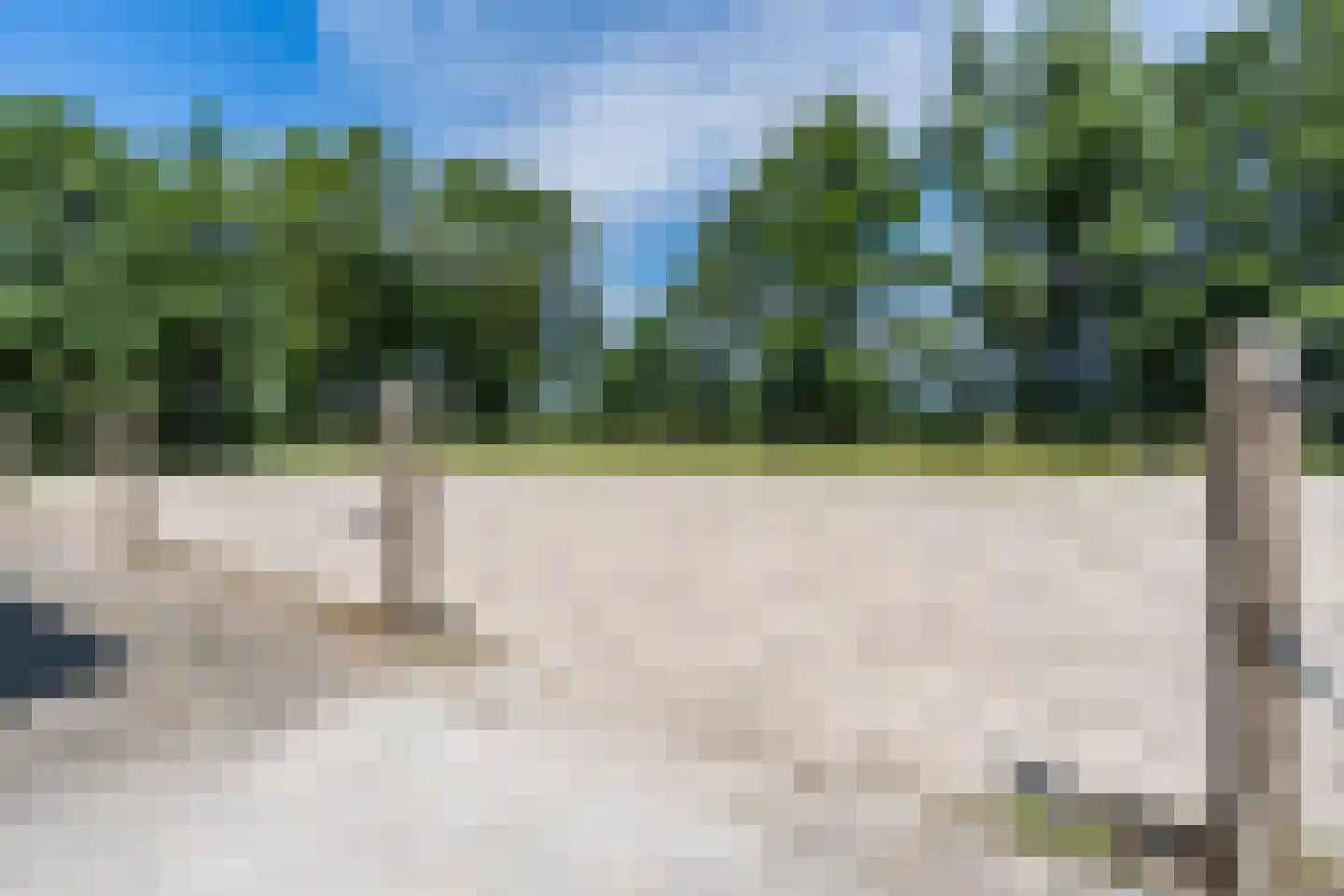 Grietenijdijk 9 Bantega thumbnail 80