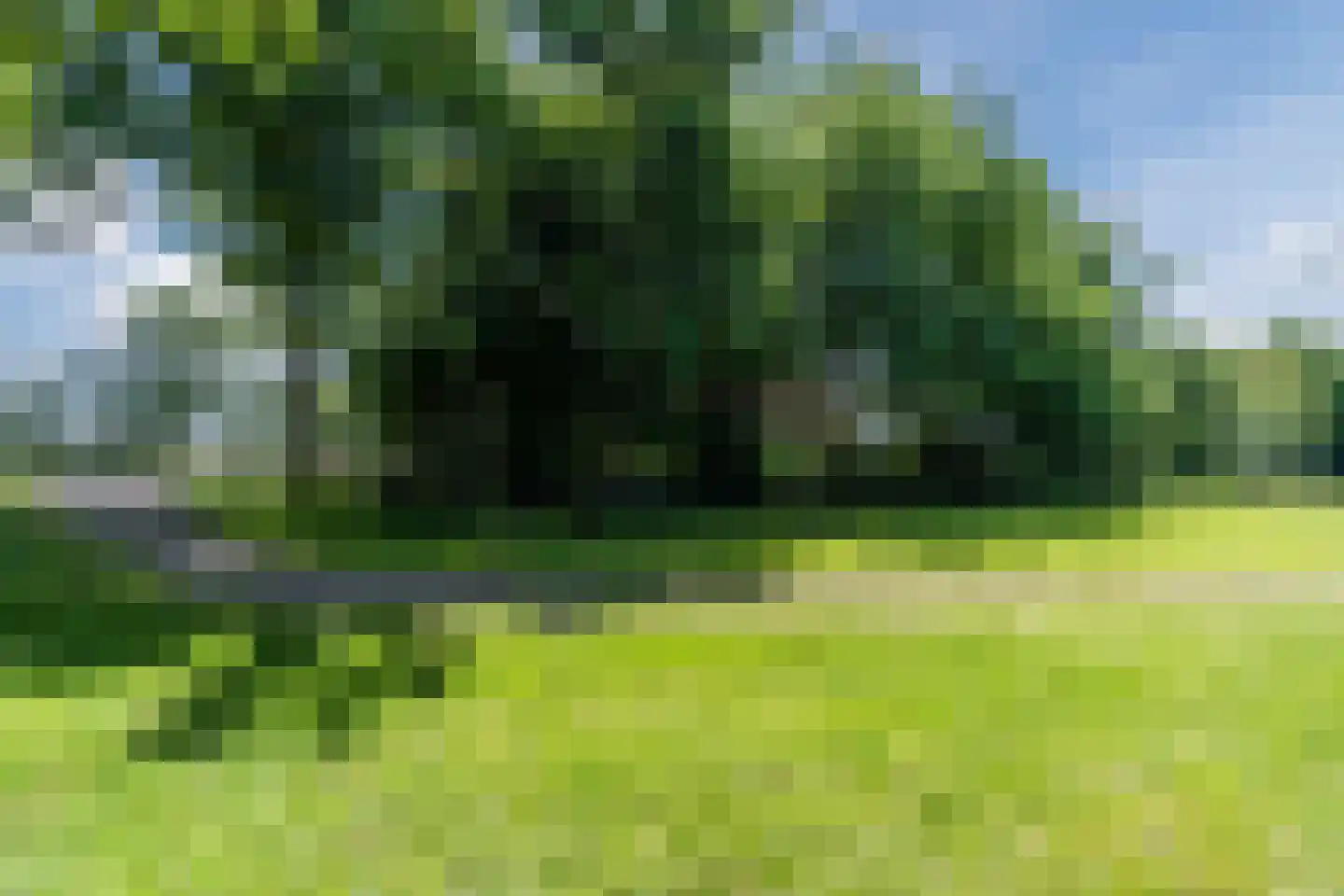 Grietenijdijk 9 Bantega thumbnail 83