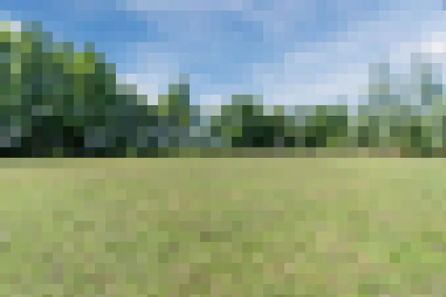 Grietenijdijk 9 Bantega thumbnail 85