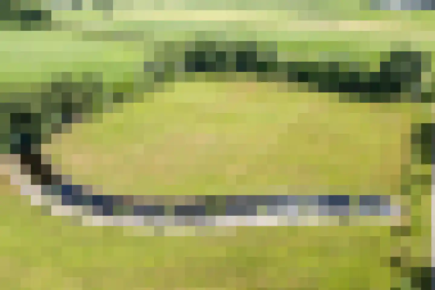 Grietenijdijk 9 Bantega thumbnail 86