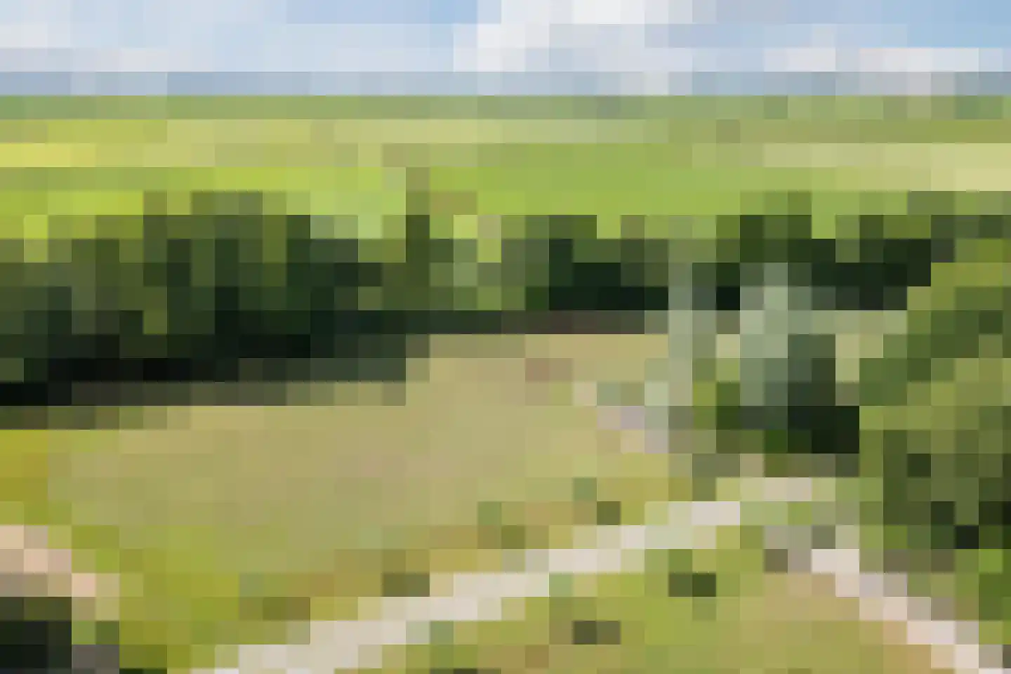 Grietenijdijk 9 Bantega thumbnail 86
