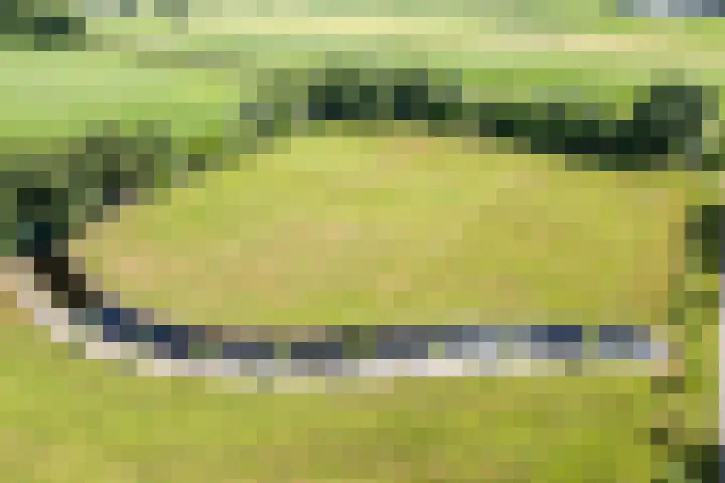 Grietenijdijk 9 Bantega thumbnail 87