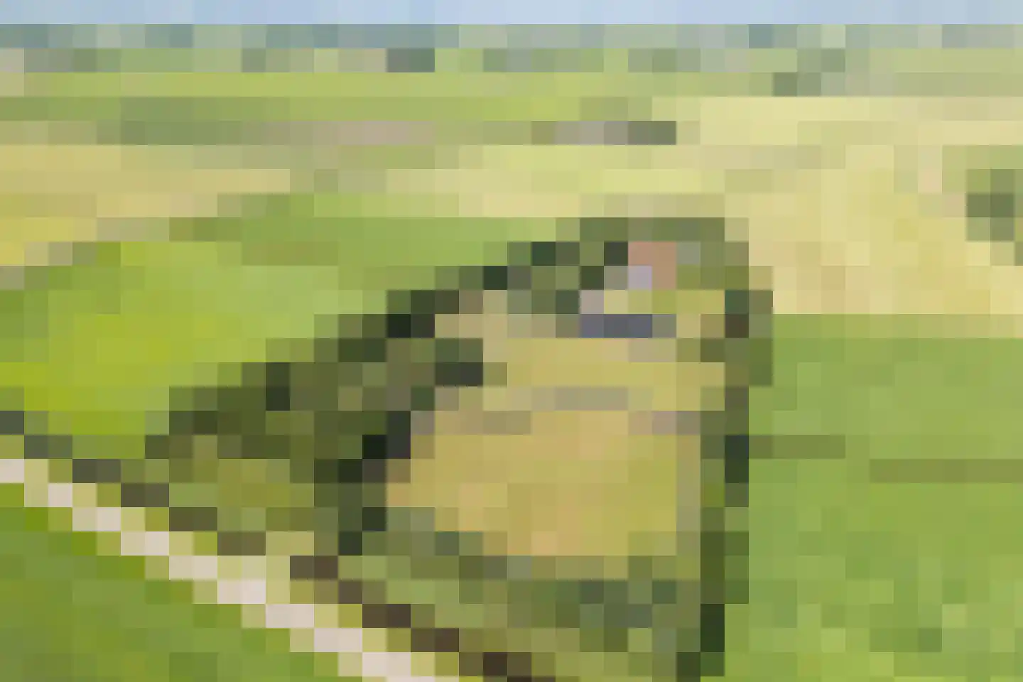 Grietenijdijk 9 Bantega thumbnail 87