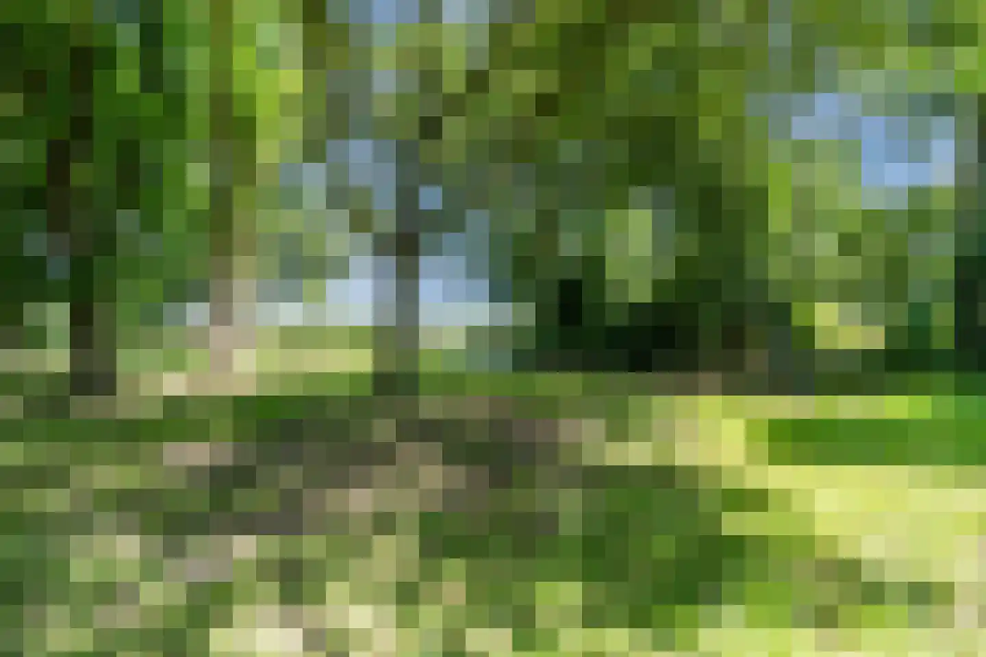 Grietenijdijk 9 Bantega thumbnail 88