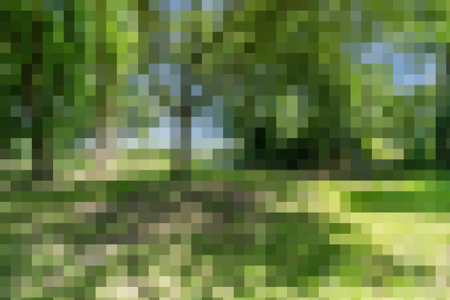 Grietenijdijk 9 Bantega thumbnail 89