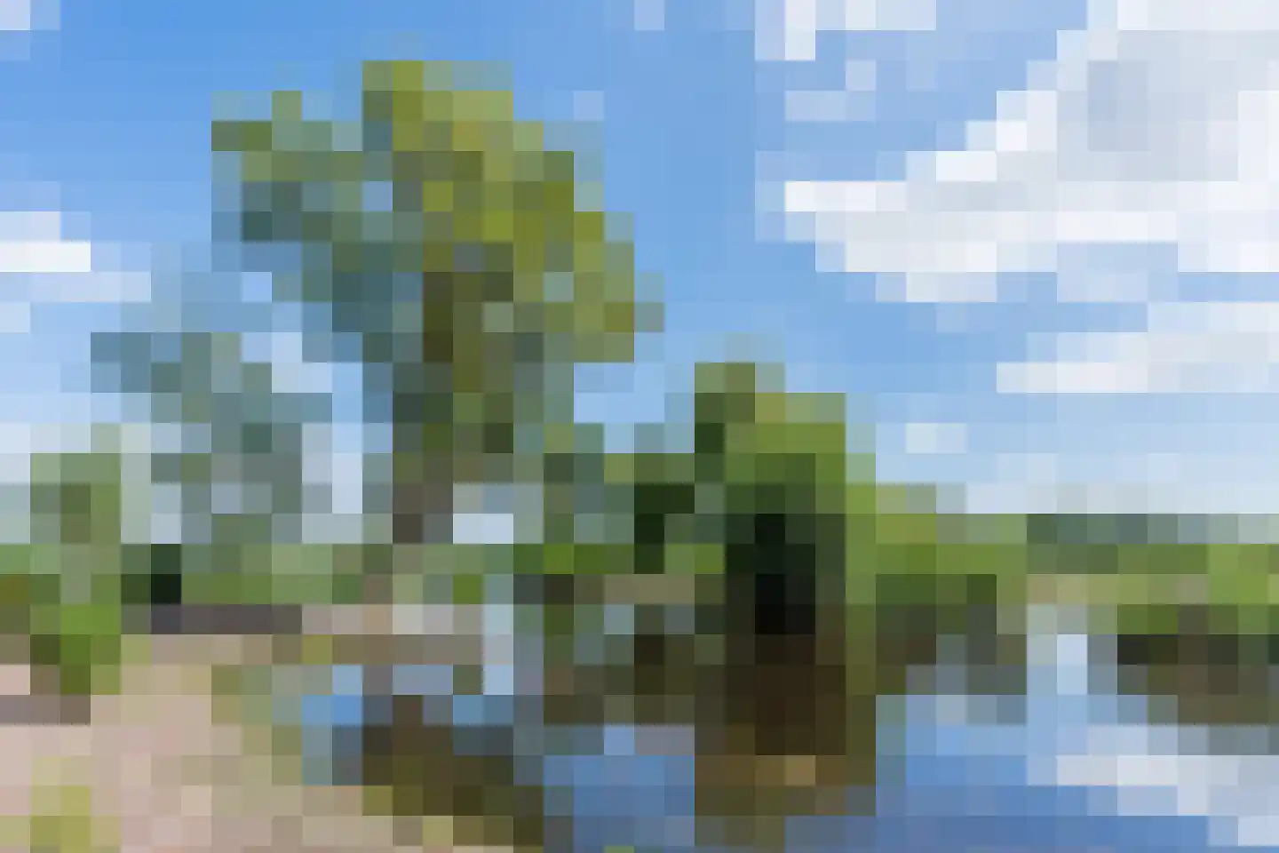 Grietenijdijk 9 Bantega thumbnail 90