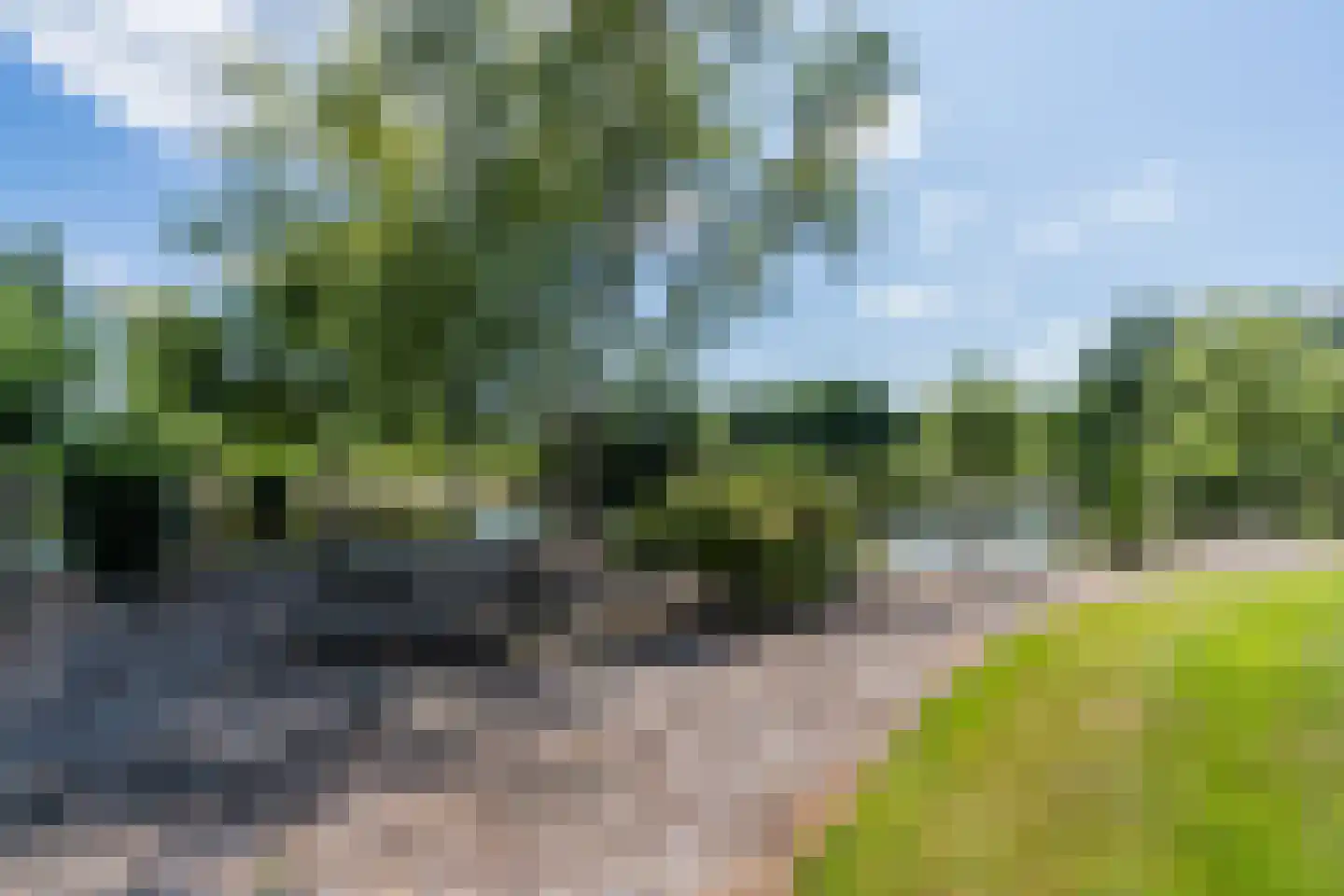 Grietenijdijk 9 Bantega thumbnail 91