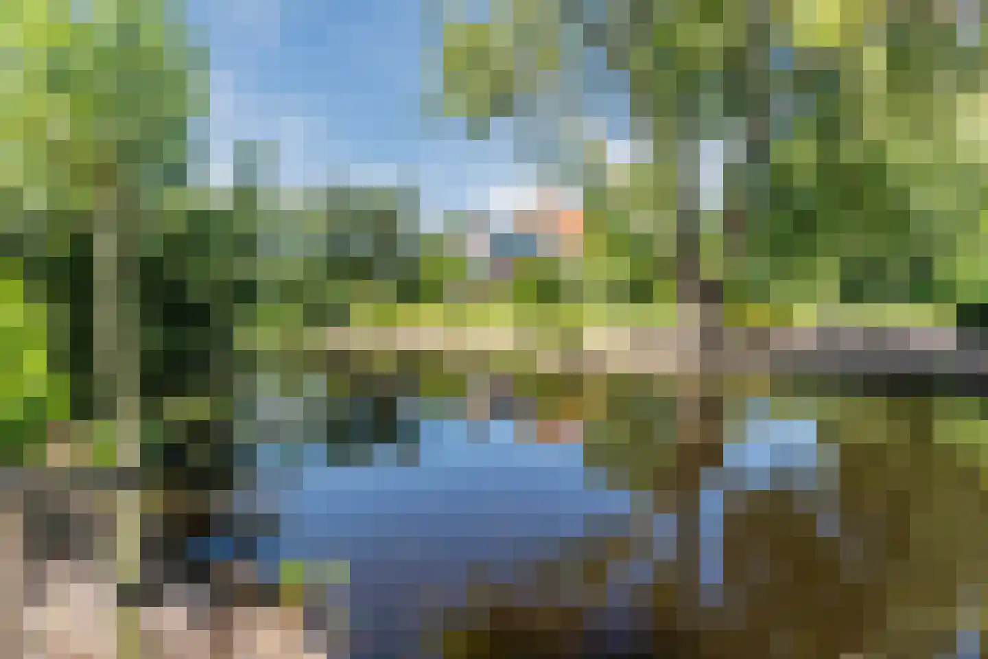 Grietenijdijk 9 Bantega thumbnail 93