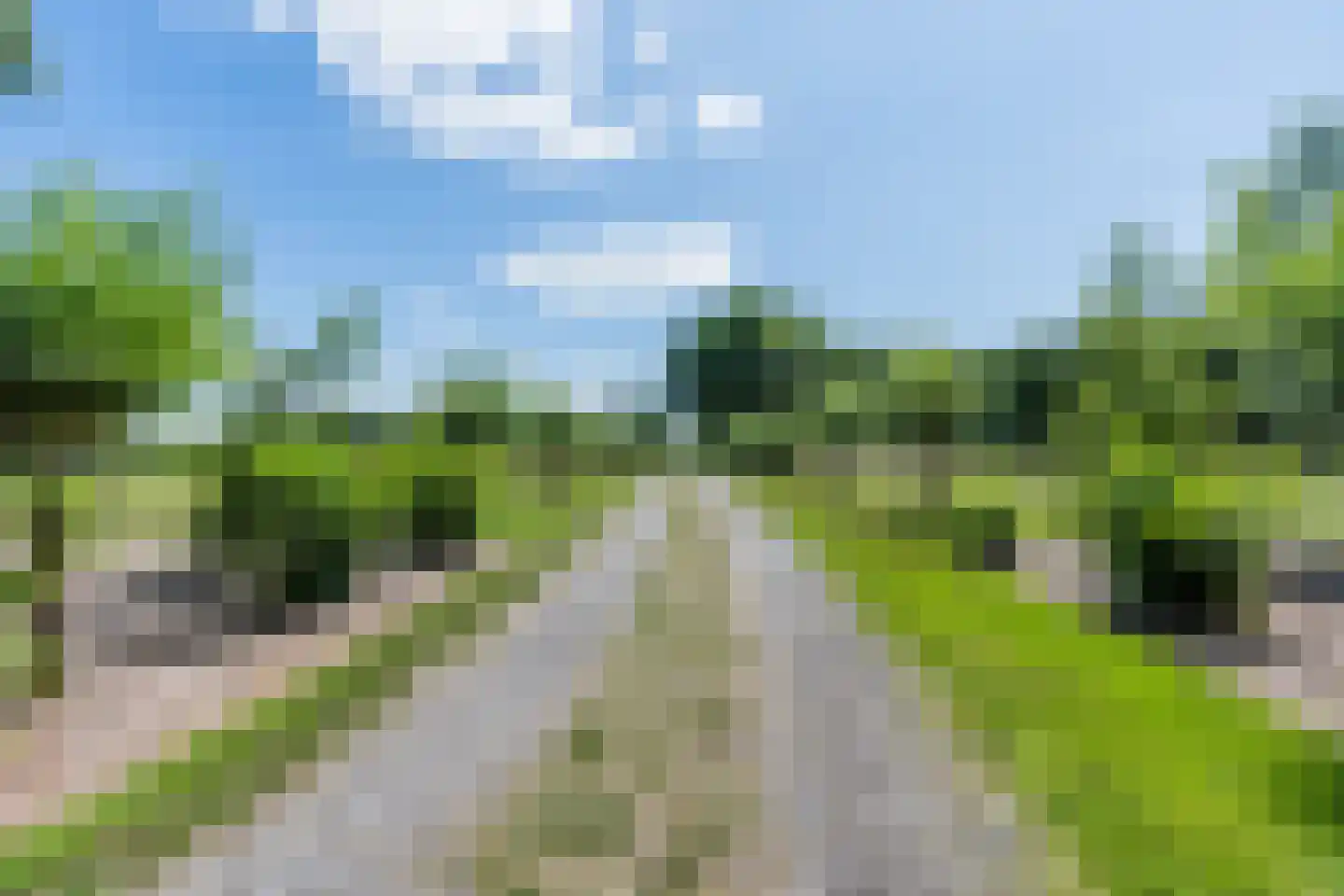 Grietenijdijk 9 Bantega thumbnail 93