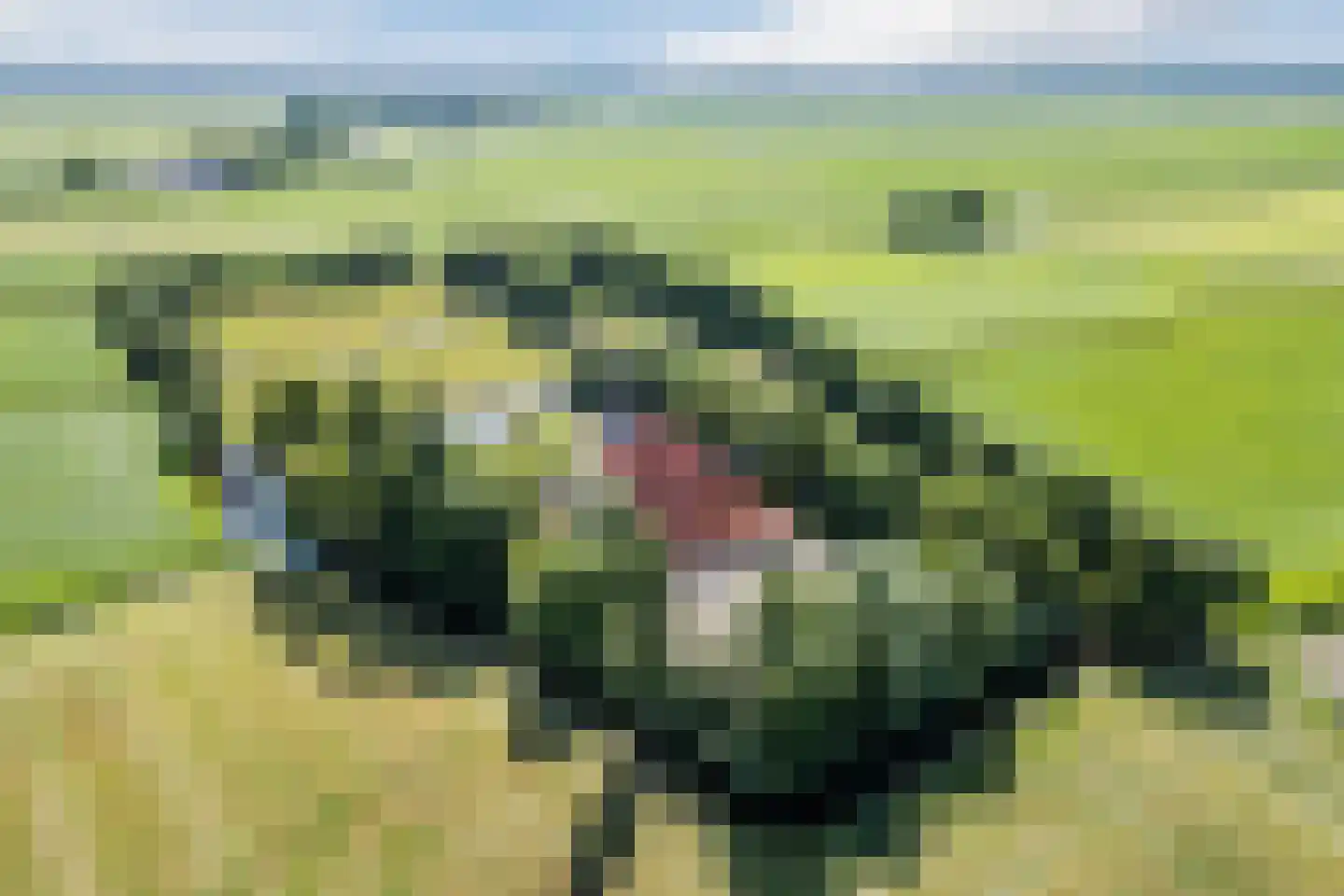 Grietenijdijk 9 Bantega thumbnail 96