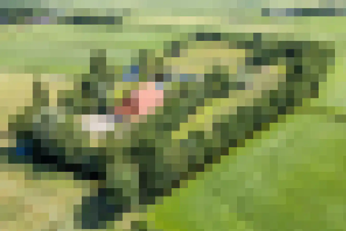 Grietenijdijk 9 Bantega thumbnail 96