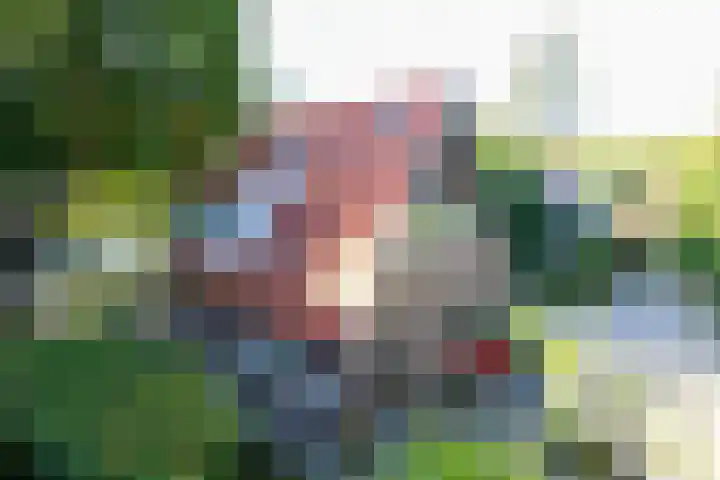 Grieteweg 5 Putten thumbnail 27
