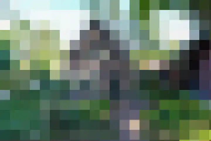 Grieteweg 5 Putten thumbnail 38
