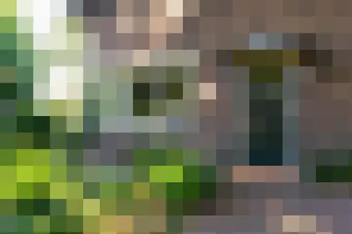 Grieteweg 5 Putten thumbnail 4