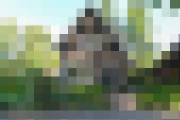 Grieteweg 5 Putten thumbnail 41