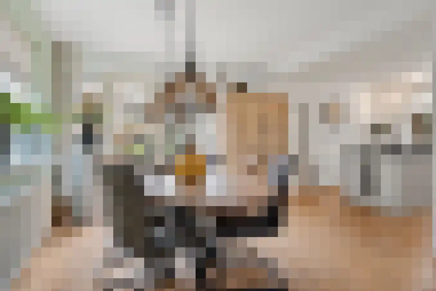 Grietjeshof 16 Bennekom thumbnail 10