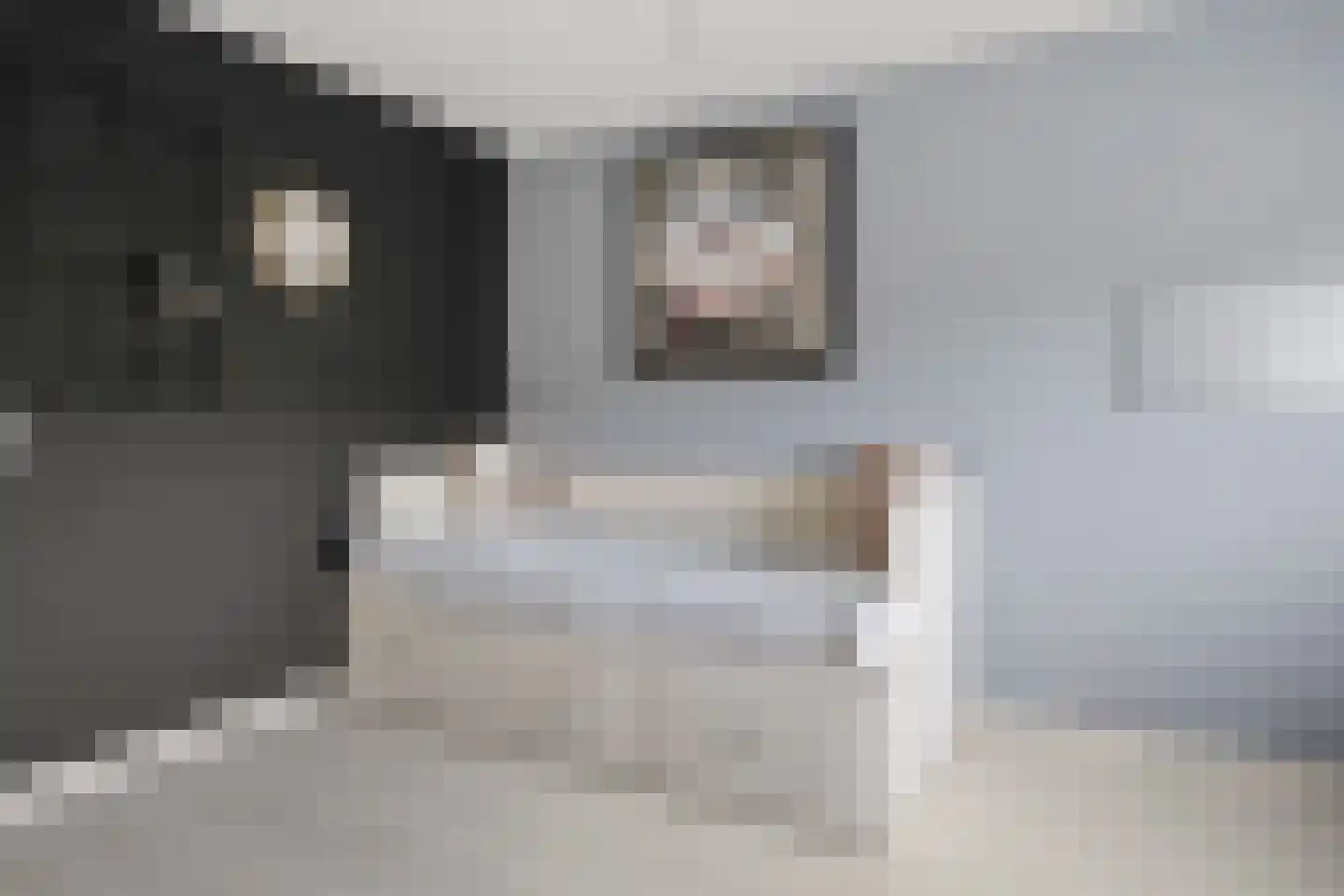 Grietjeshof 16 Bennekom thumbnail 21