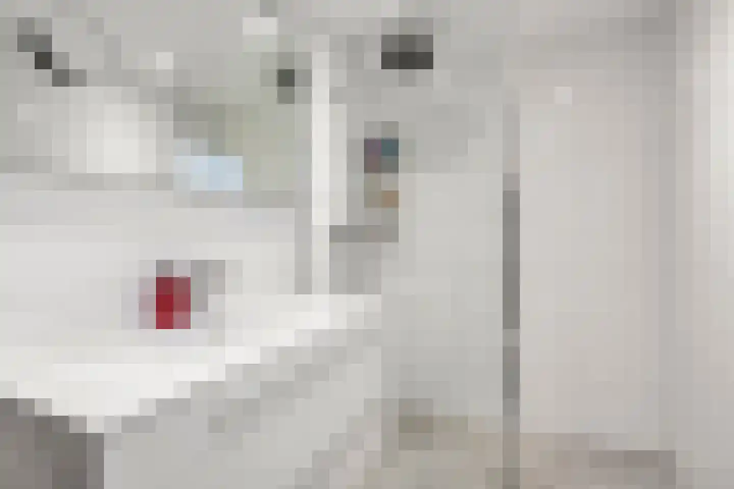 Grietjeshof 16 Bennekom thumbnail 22